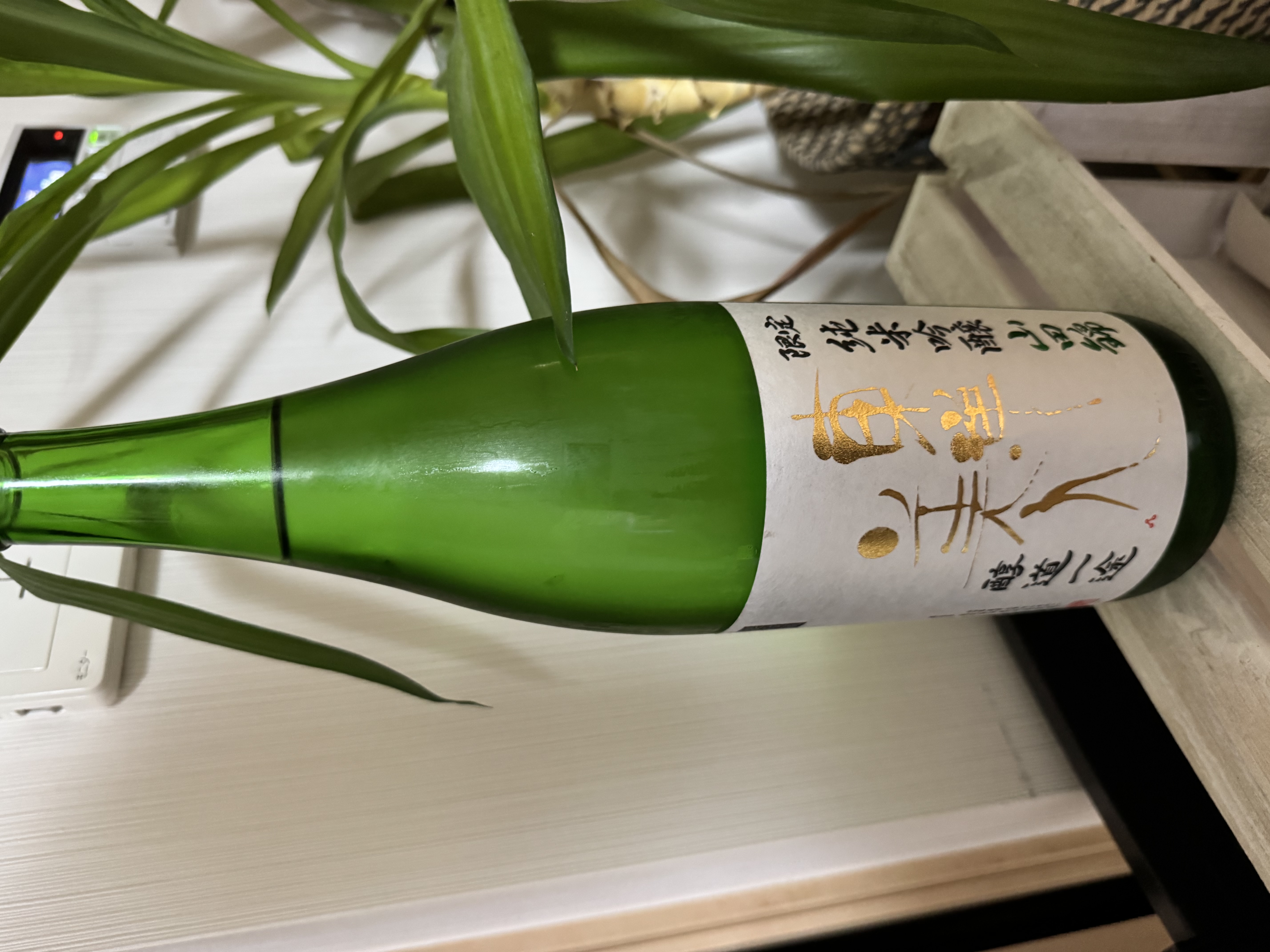 東洋美人
