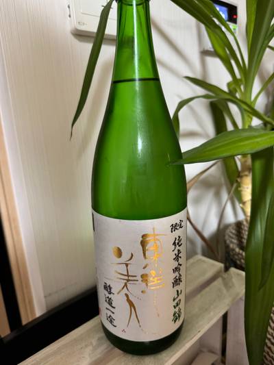 東洋美人