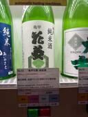亀甲花菱
